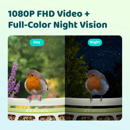 Birdfy Feeder Metal - Smart Metal Feeder with Camera