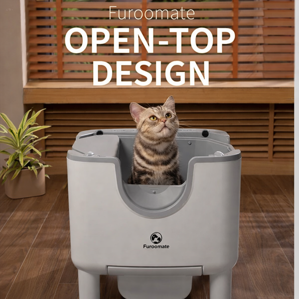 F6 CleanPaws™ Self-Cleaning Litter Box